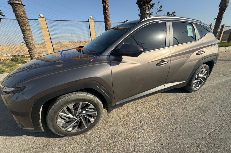 Tucson Hyundai Bronze