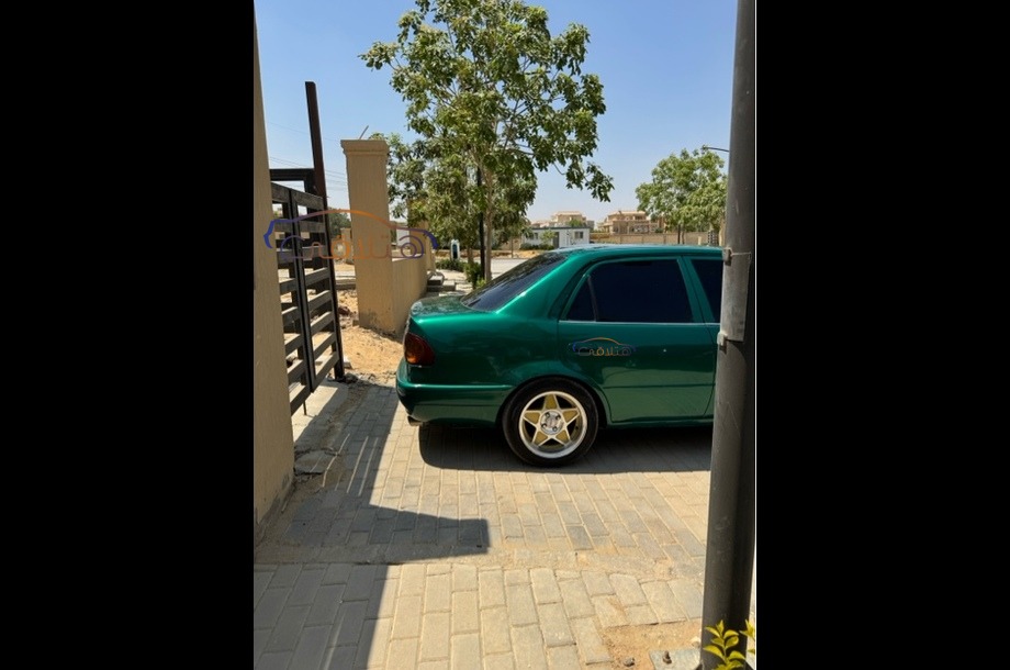 Corolla Toyota Green