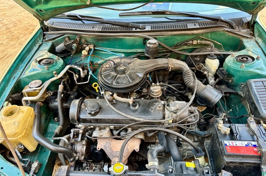 Corolla Toyota Green