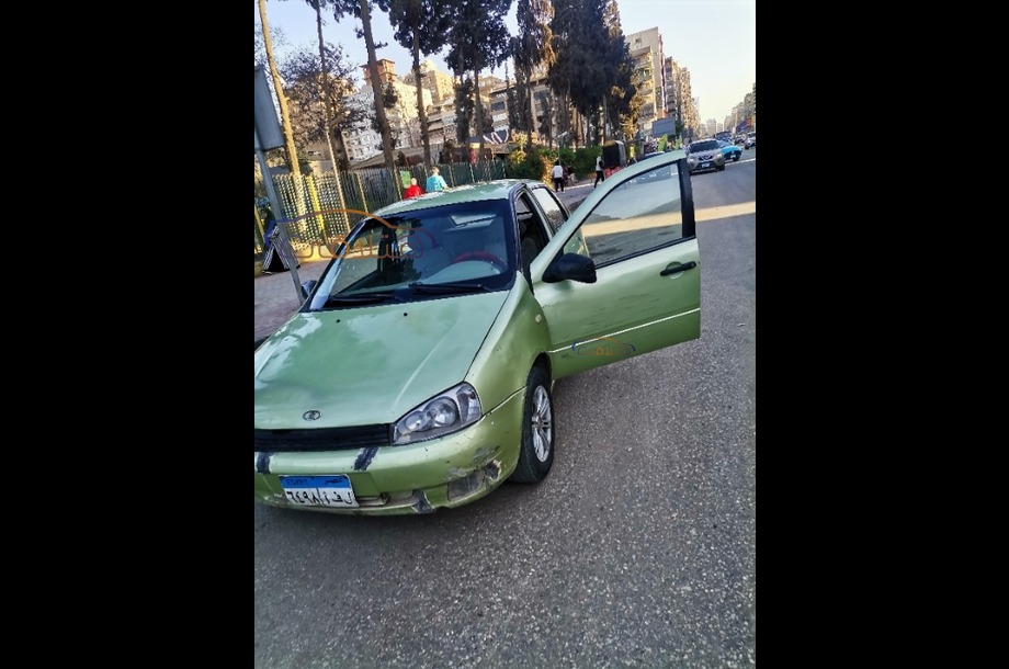 Kalina Lada أخضر