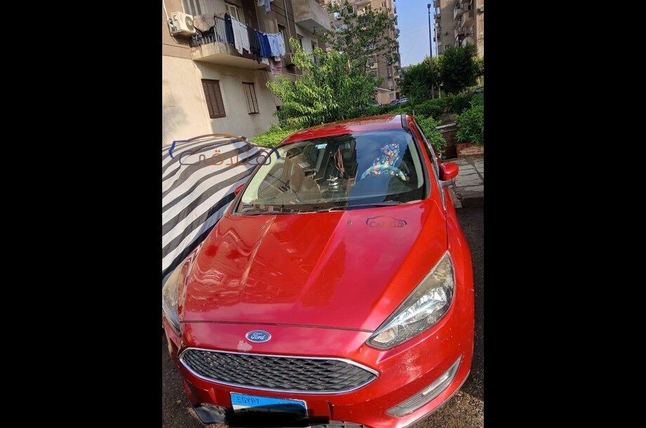 Focus Ford Red