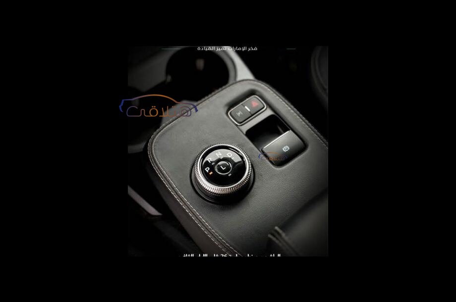 Mustang Ford سماوى