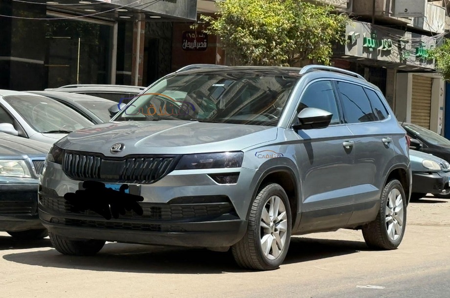 Karoq Skoda Gray