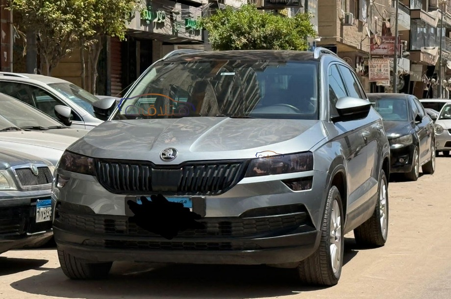 Karoq Skoda Gray