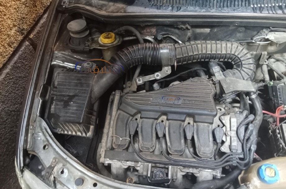 Siena Fiat Dark grey