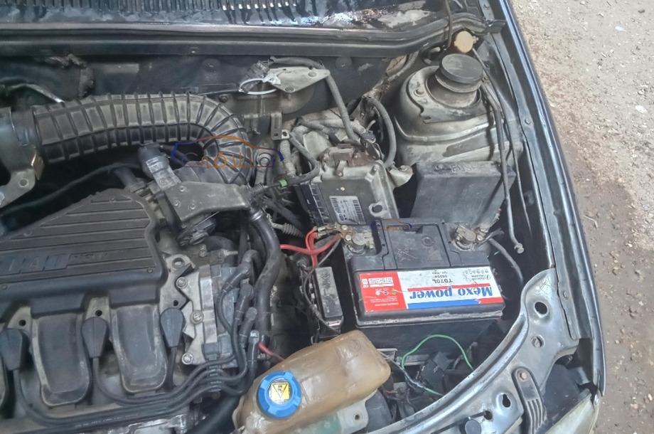 Siena Fiat Dark grey