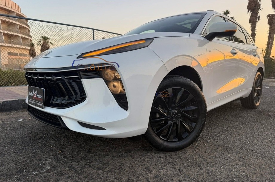 T5 Forthing أبيض