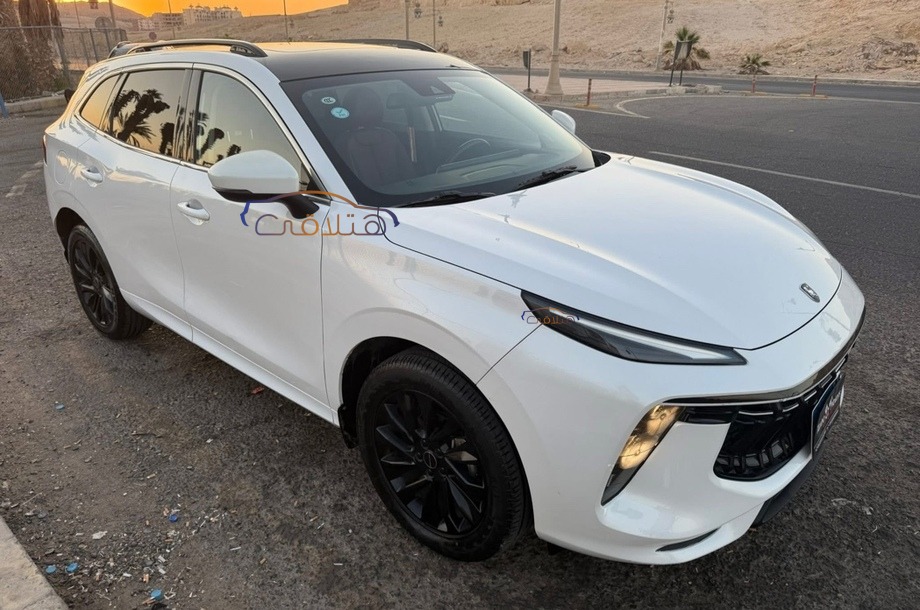 T5 Forthing أبيض