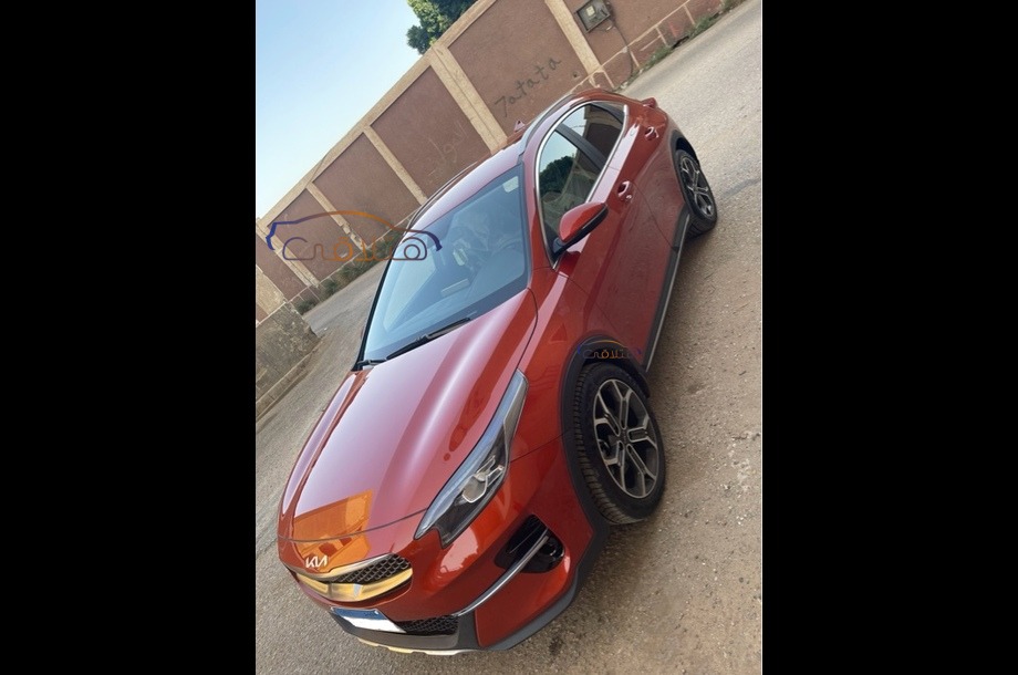 Xceed Kia Orange