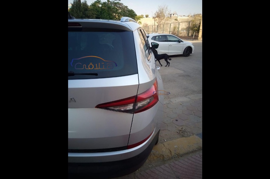 Kodiaq Skoda Silver