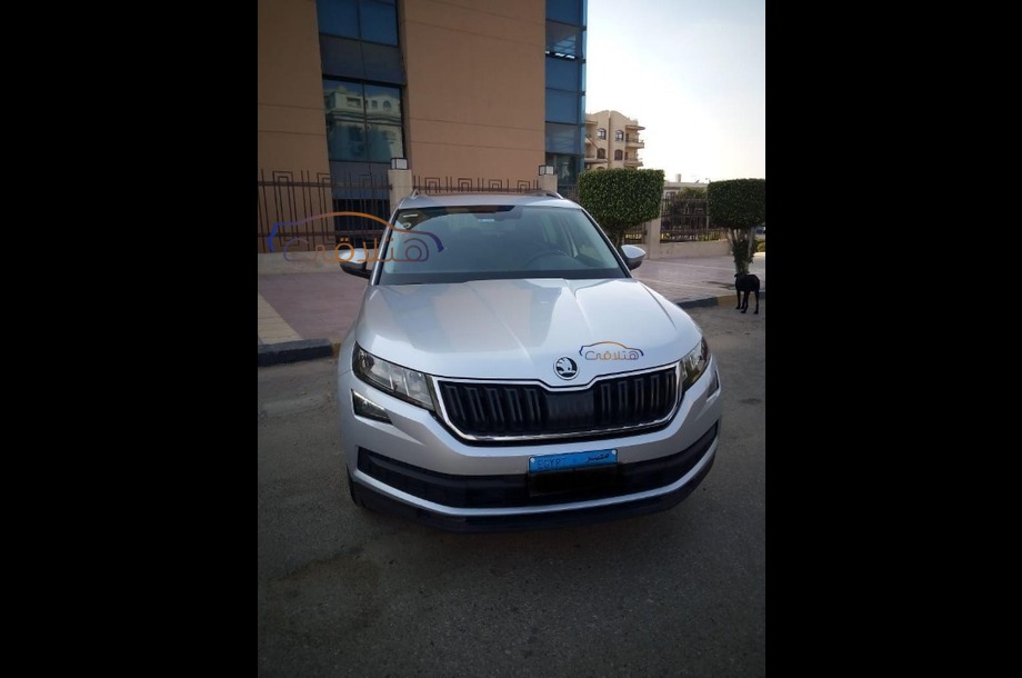Kodiaq Skoda Silver