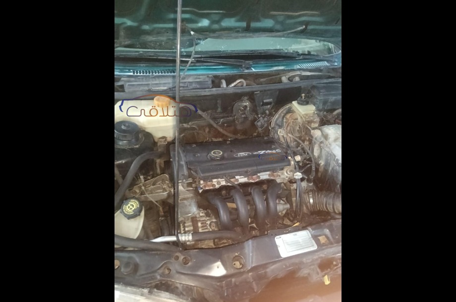 Fiesta Ford أخضر