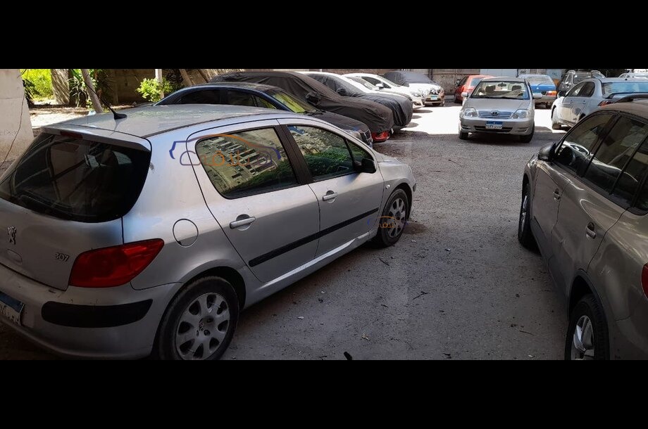 307 Peugeot فضي