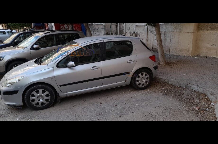 307 Peugeot فضي