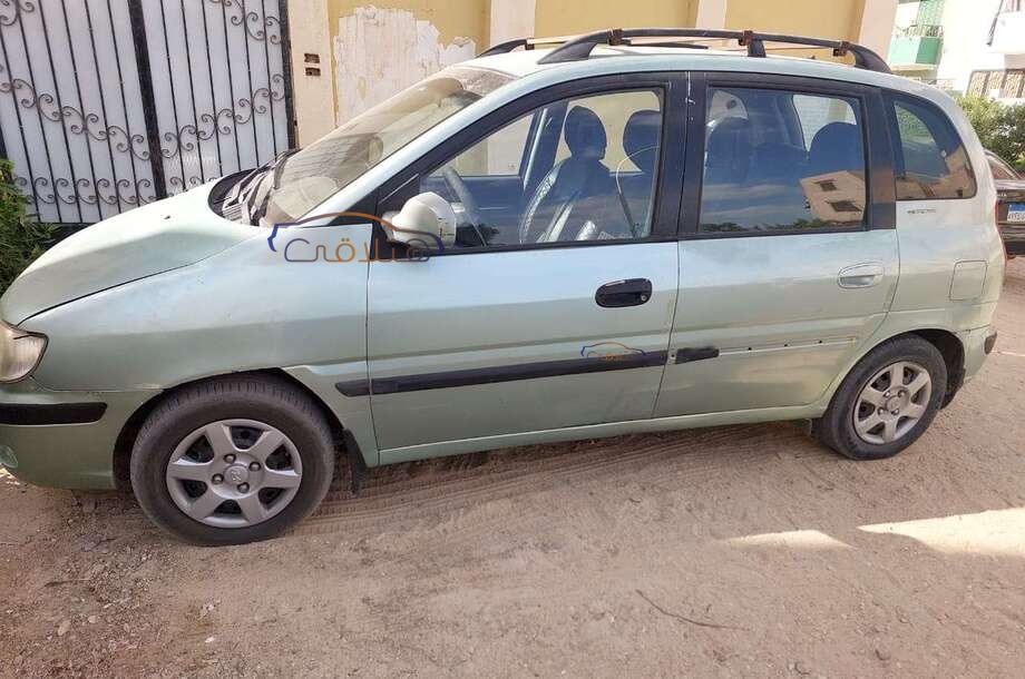 Matrix Hyundai Green