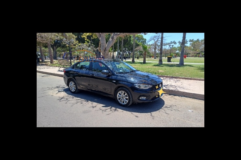 Tipo Fiat أسود