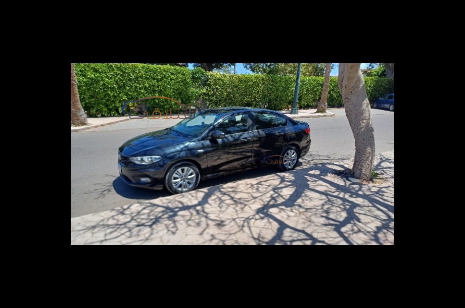 Tipo Fiat أسود
