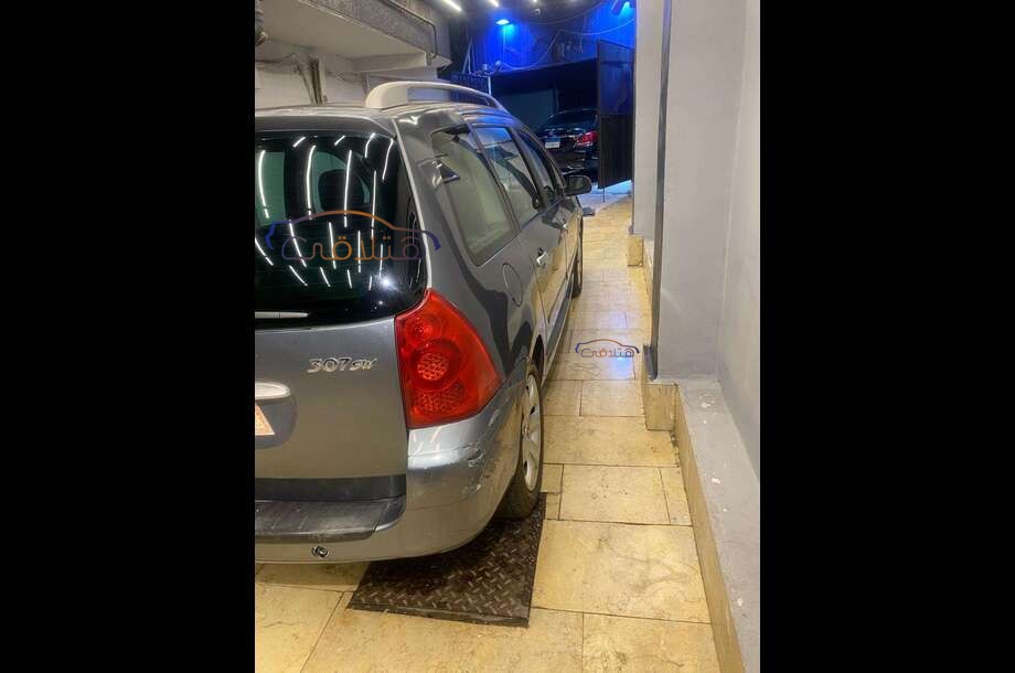 307 SW Peugeot Petroleum