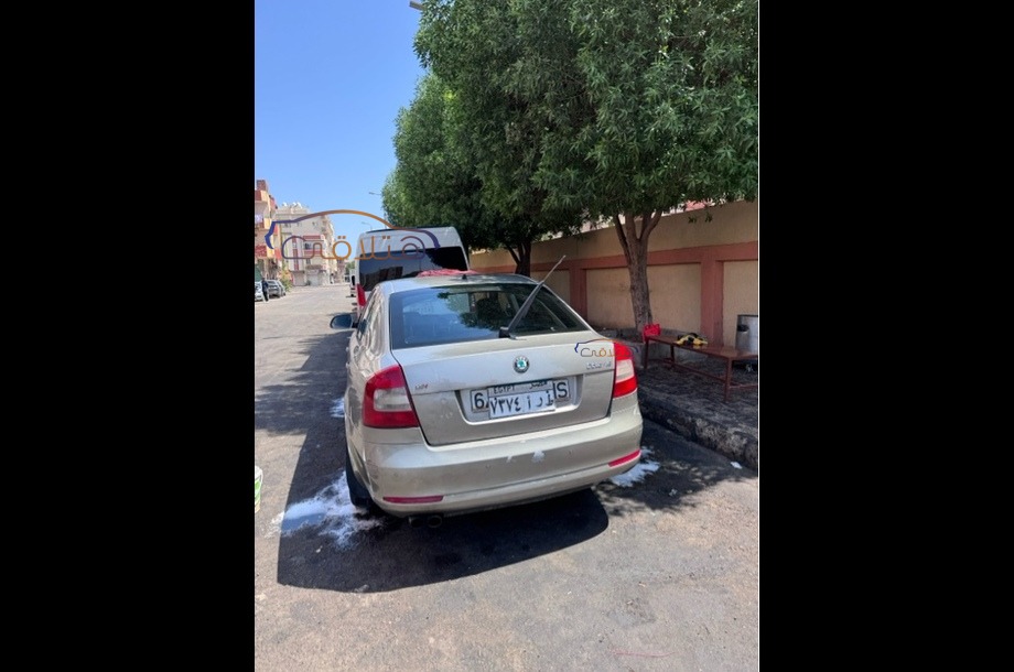 Fantasia Skoda فضي