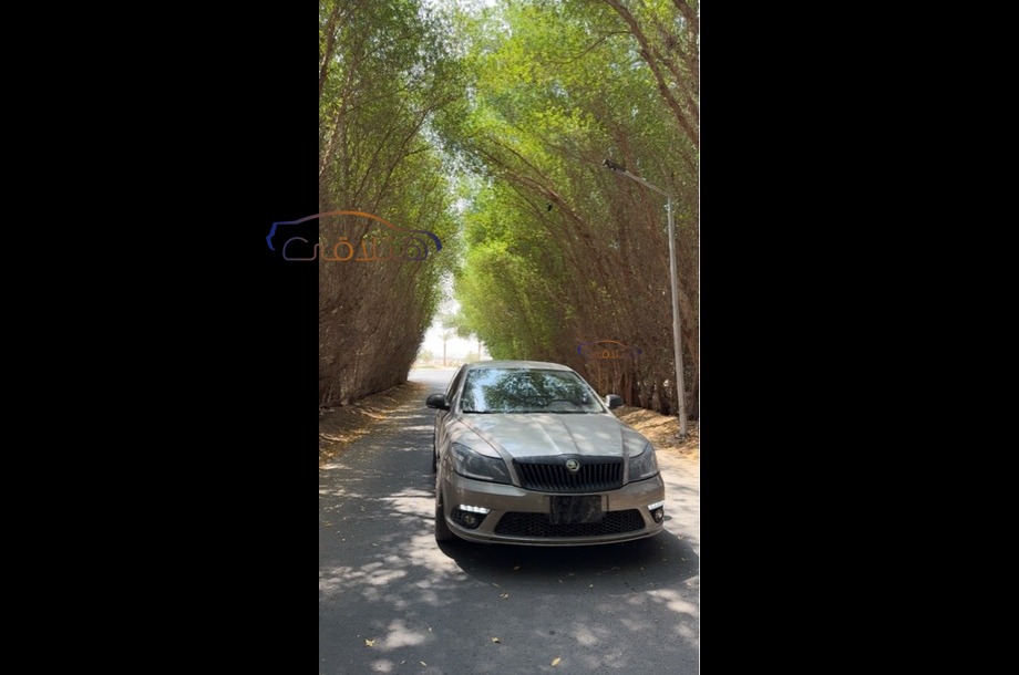 Fantasia Skoda فضي