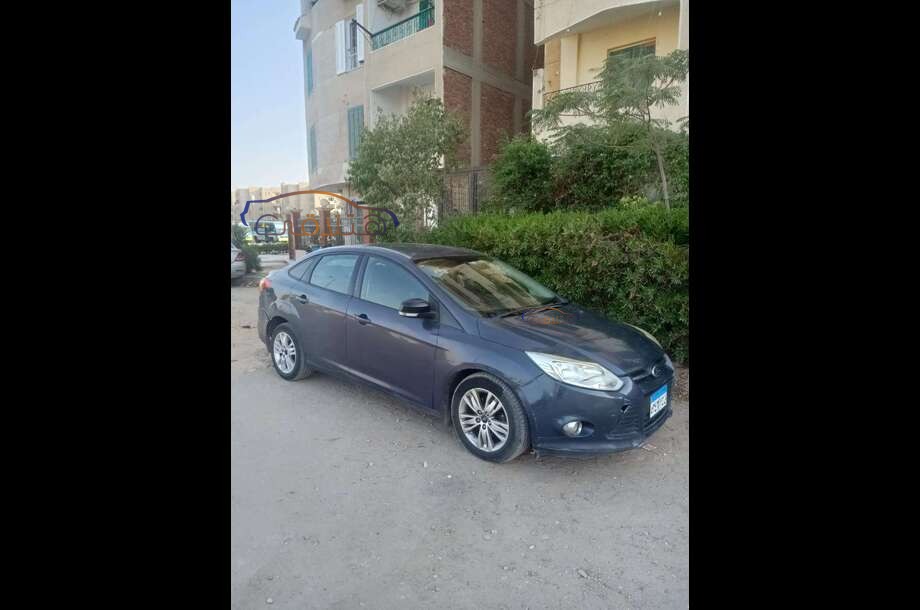 Focus Ford Petroleum