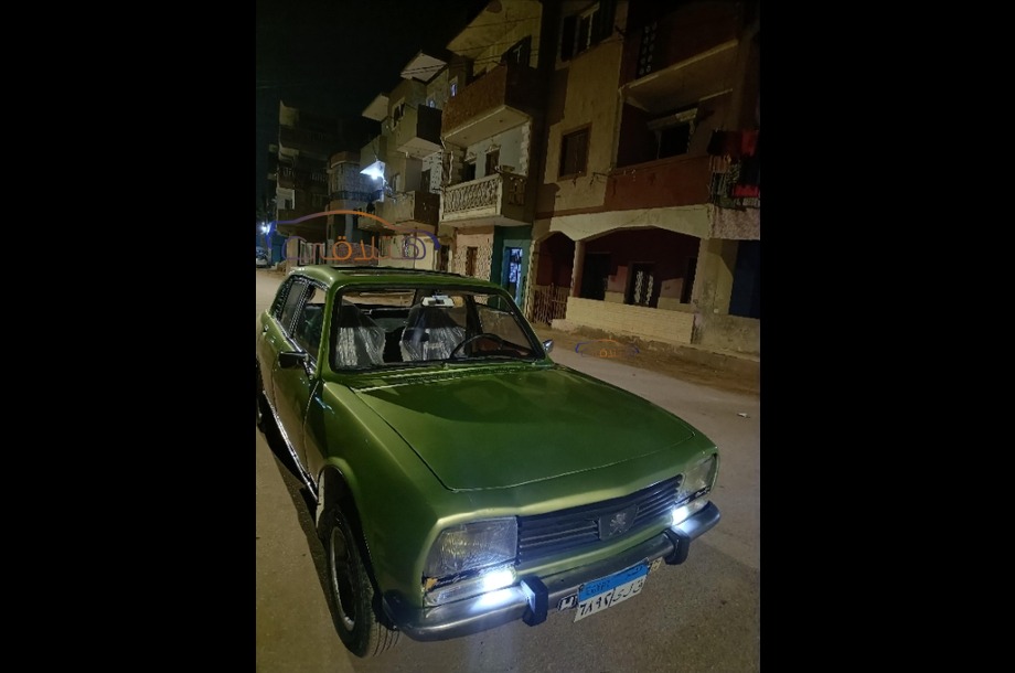 504 Peugeot أخضر