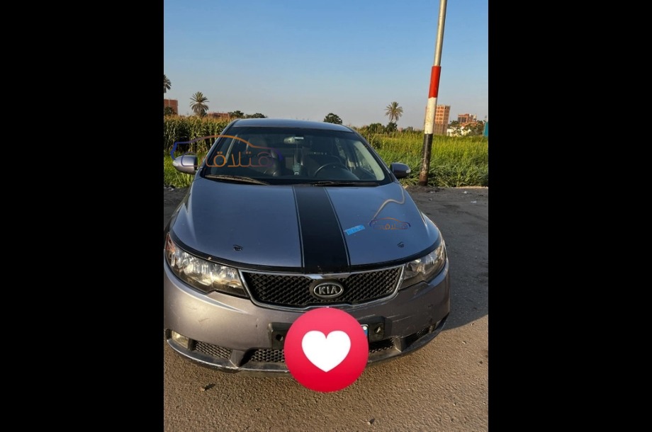 Forte Kia Purple
