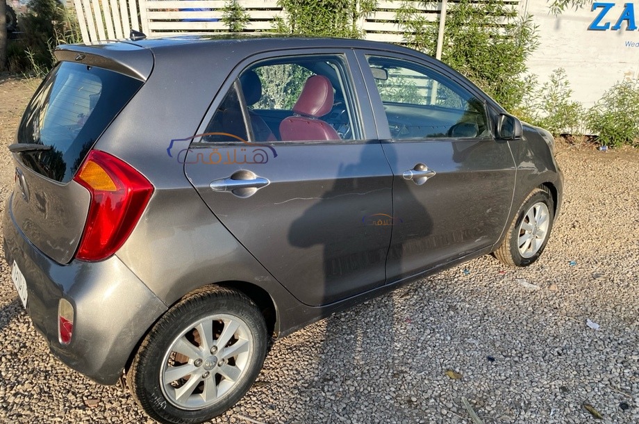 Picanto Kia رمادي