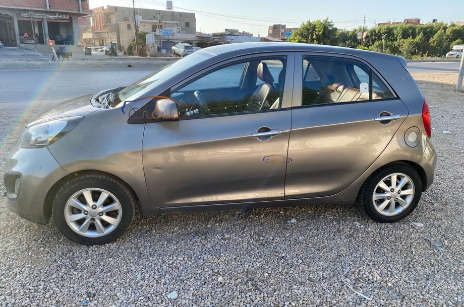 Picanto Kia رمادي
