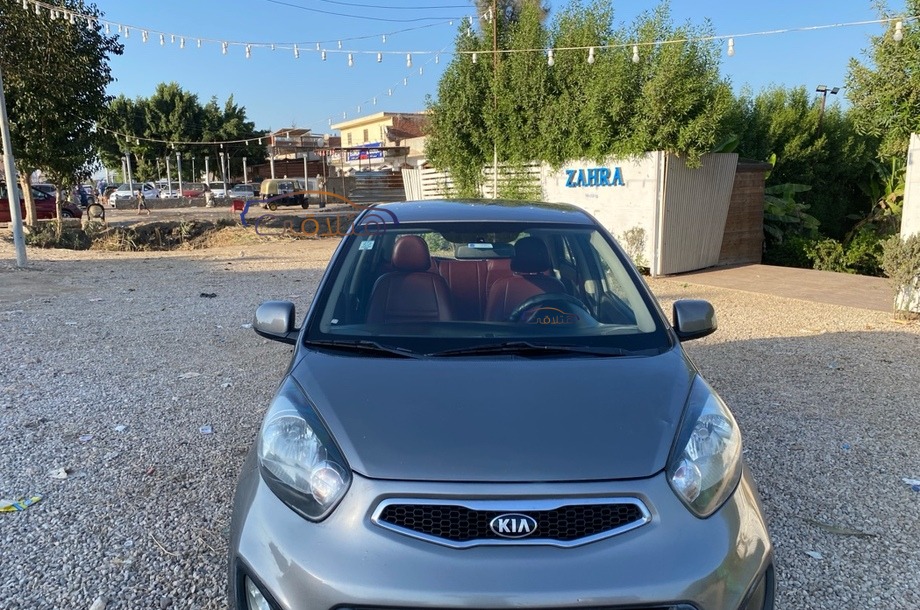 Picanto Kia رمادي