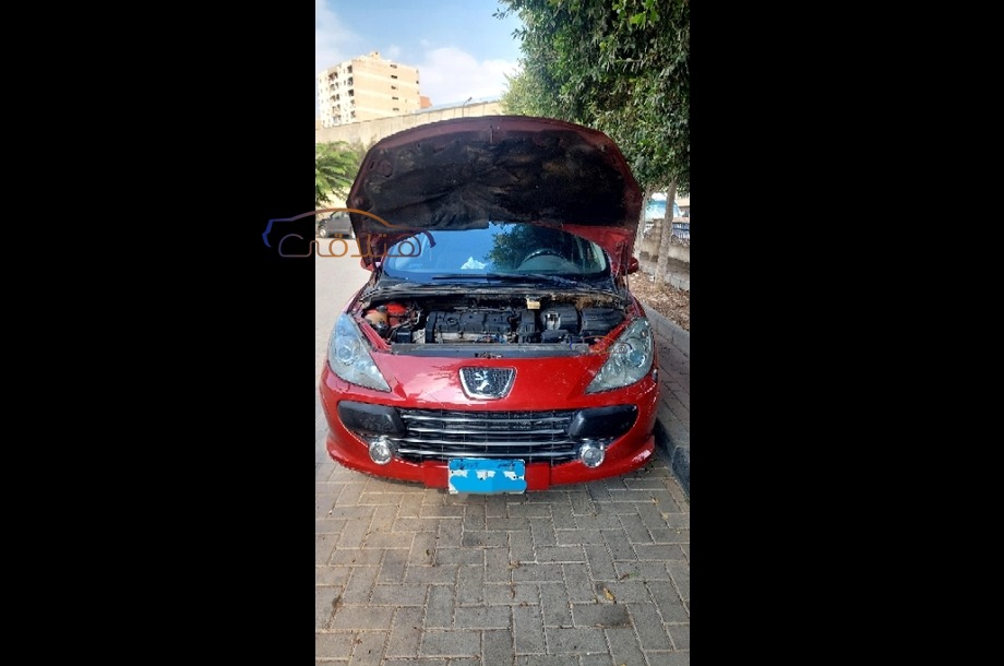 307 SW Peugeot Red