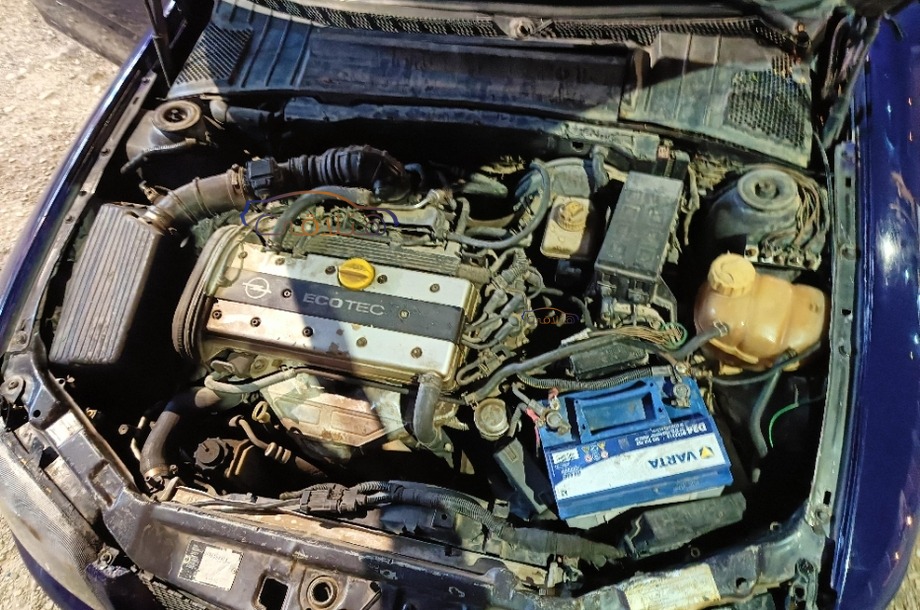 Vectra Opel بنفسجي