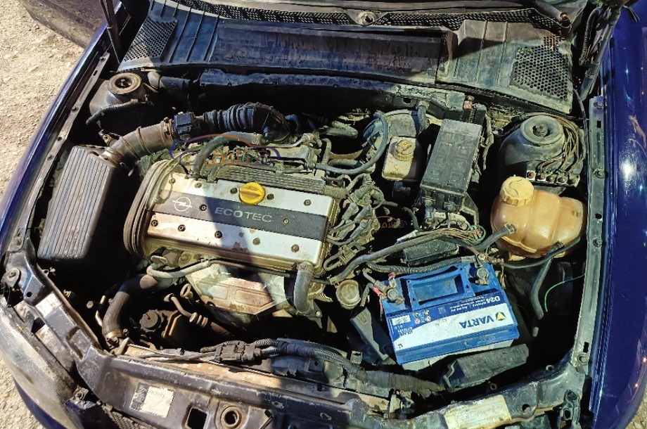 Vectra Opel بنفسجي