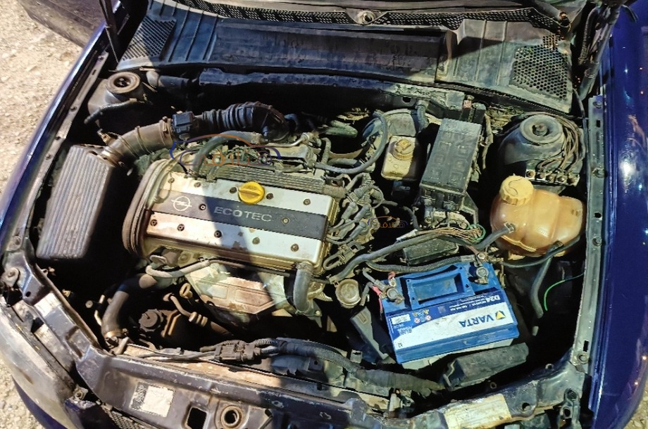 Vectra Opel بنفسجي