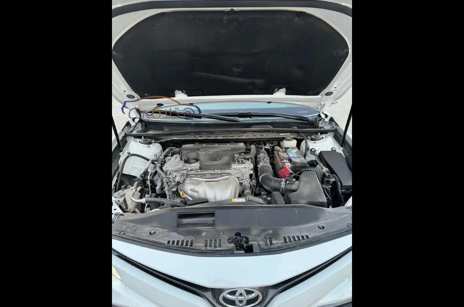 Camry Toyota أبيض