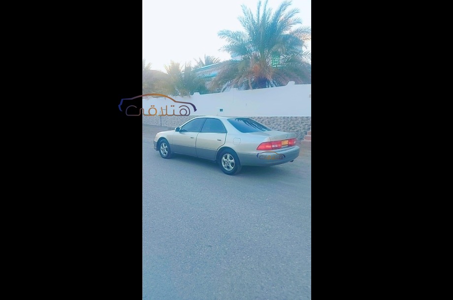 Es Lexus بني