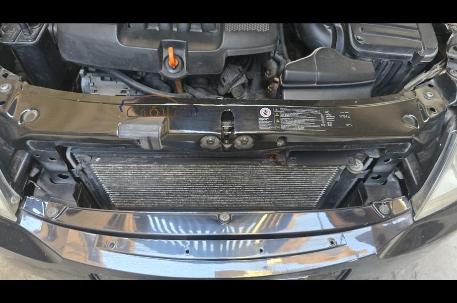 Fantasia Skoda أسود