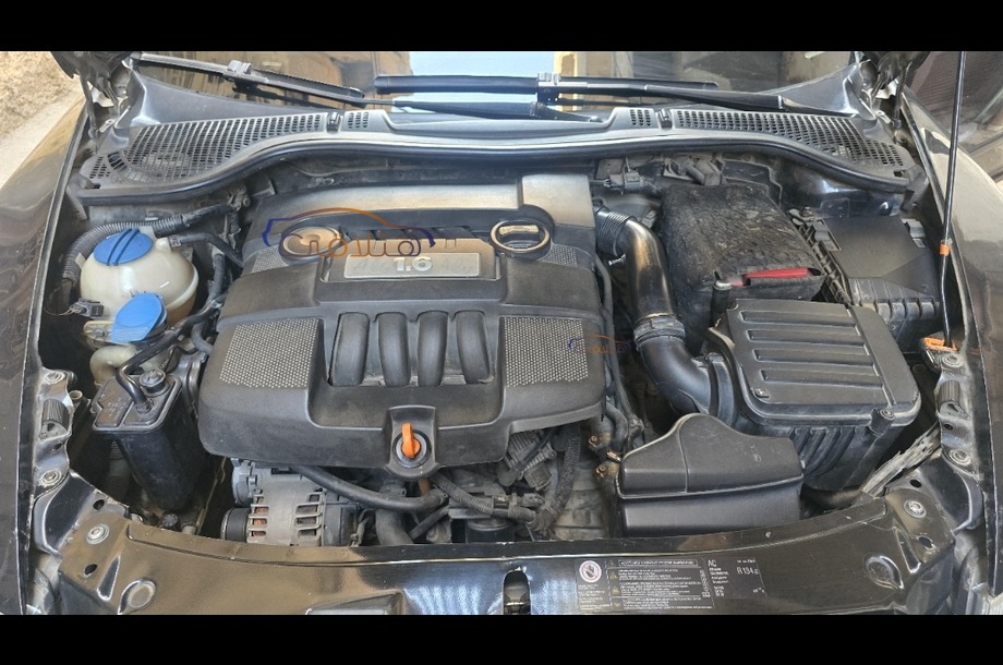 Fantasia Skoda أسود