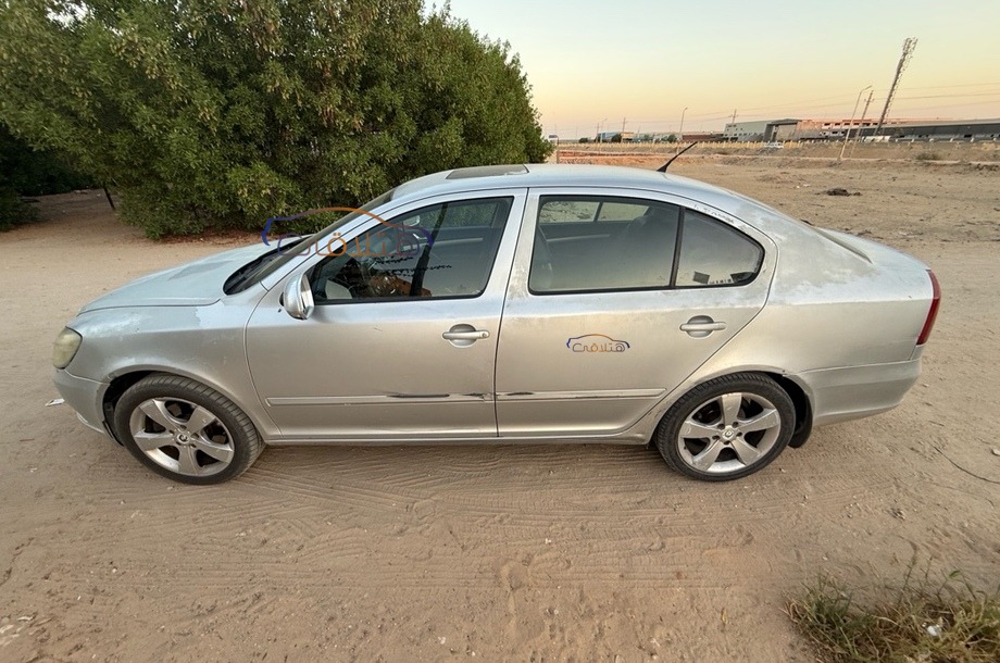 Fantasia Skoda Silver