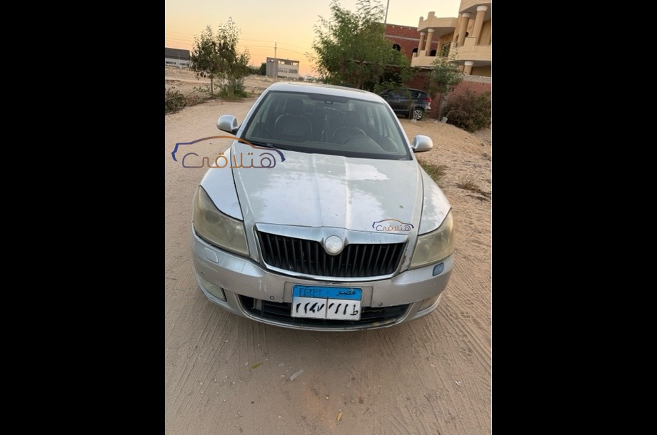 Fantasia Skoda Silver