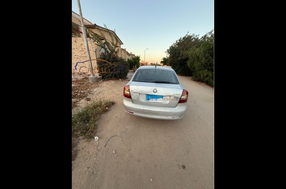 Fantasia Skoda Silver