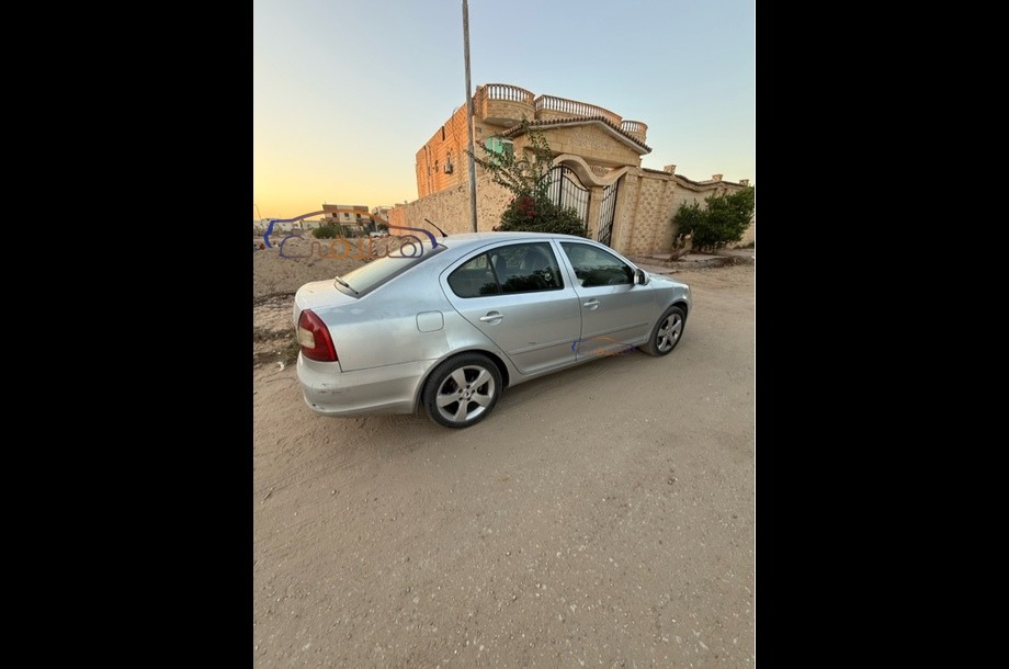 Fantasia Skoda Silver