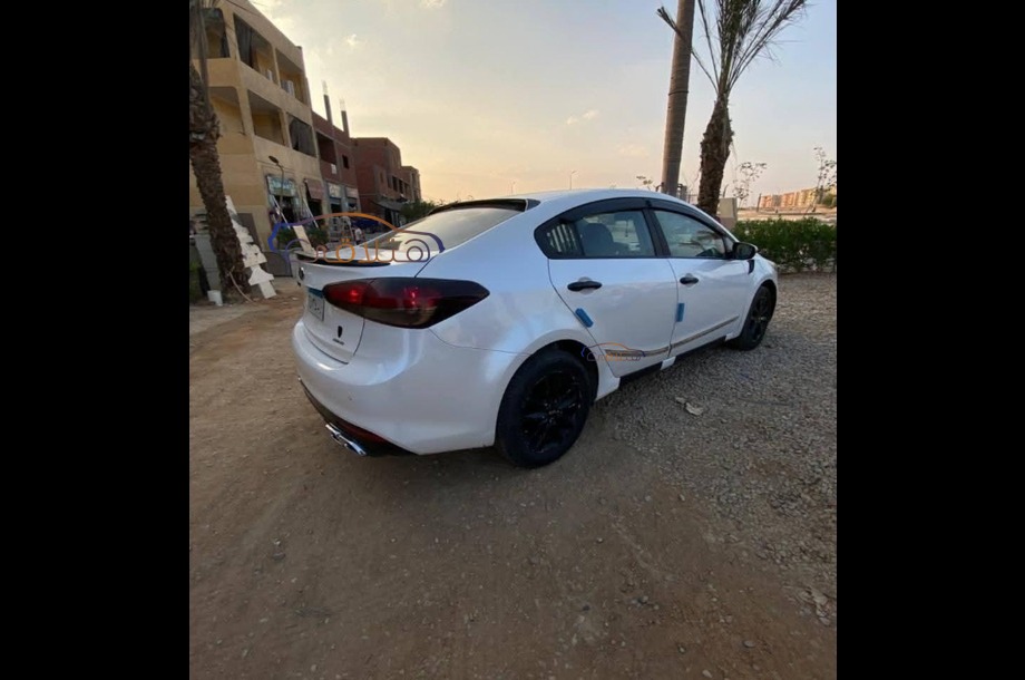 Grand Cerato Kia أبيض