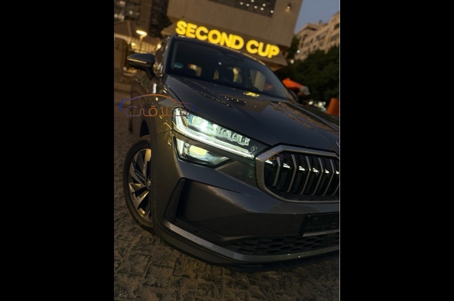 Kodiaq Skoda رمادي