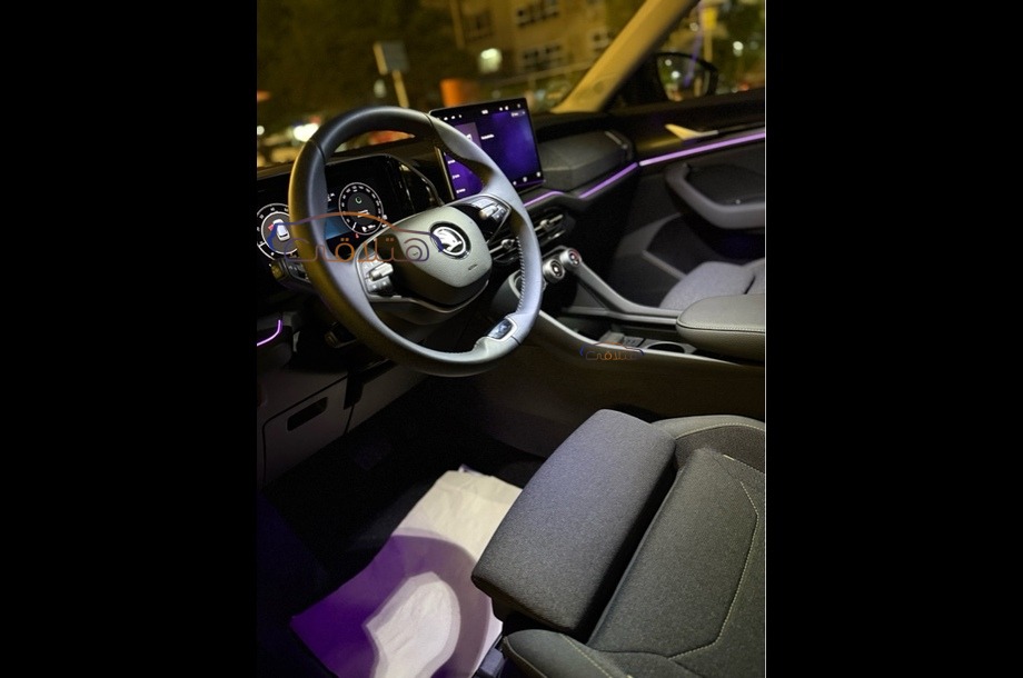 Kodiaq Skoda رمادي