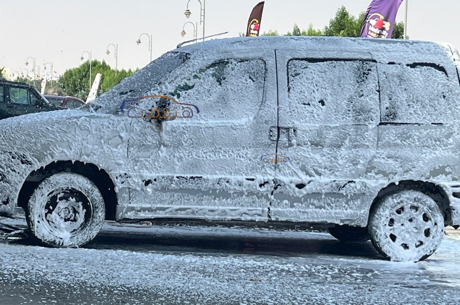 Partner Peugeot Silver