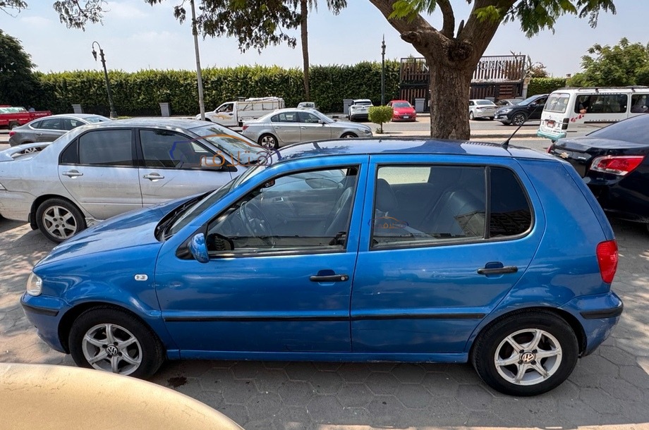 Polo Volkswagen Blue