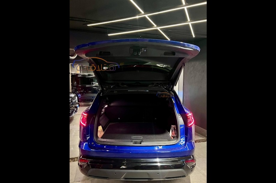 Austral Renault أزرق