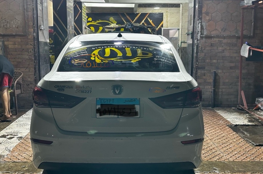 Alsvin Changan White