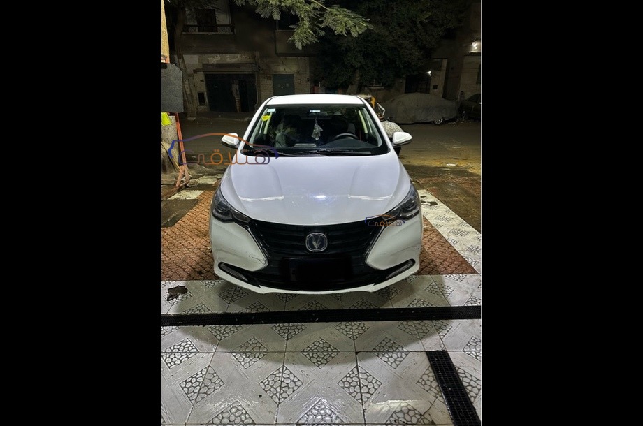 Alsvin Changan White